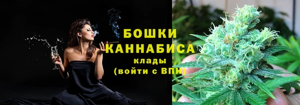 дживик Баксан