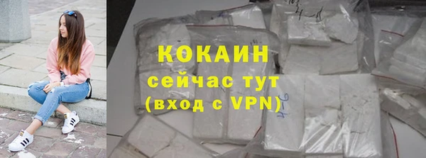 дживик Баксан