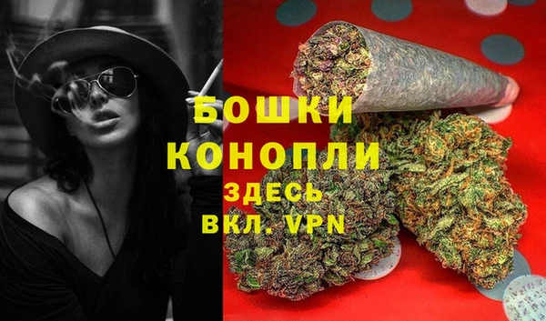 дживик Баксан