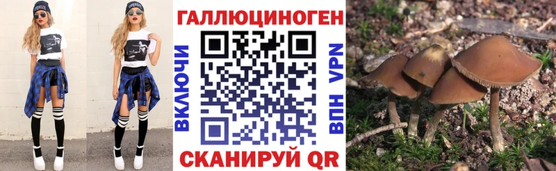 Галлюциногенные грибы мицелий  Феодосия 